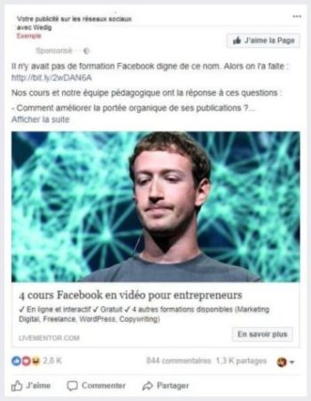 Facebook Ads: diffusion publicites sur les reseaux sociaux