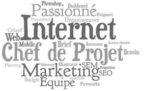 Chef de projet Webmarketing