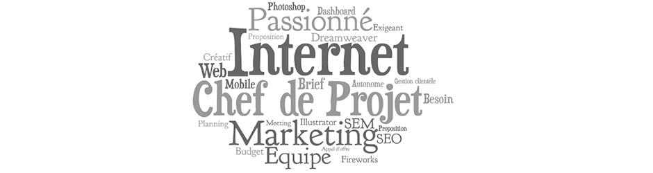 Chef de projet Webmarketing