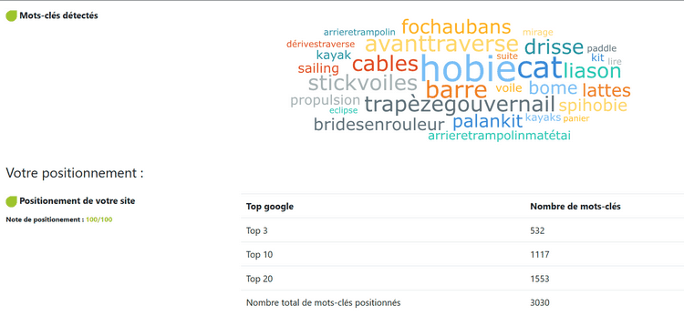 Analyse SEO Weapi