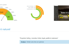 Analyse globale Weapi